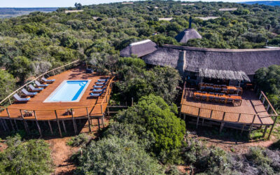 Experience the Ultimate Safari Adventure at Woodbury Lodge: A Luxurious Retreat in the Heart of the African Wilderness