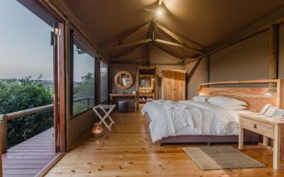 Unwind in the Heart of the African Wilderness: A Luxurious Stay at Hlosi Game Lodge